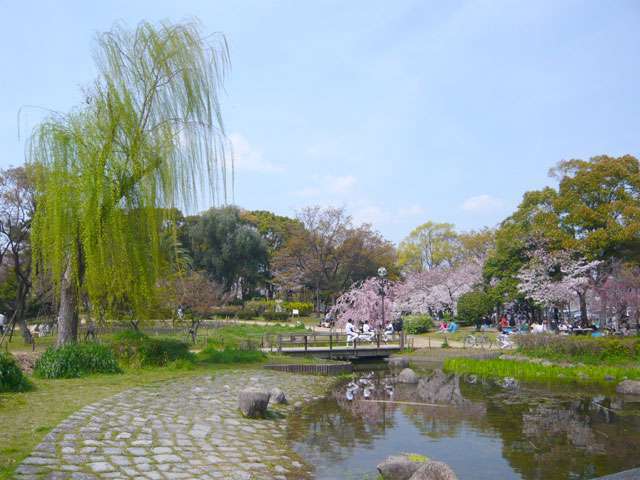 『尾浜公園』。家族連れがピクニックをしたり、小さな子供が池の周りで追いかけっこをしたり、遊具で遊ぶ姿を見かけます。