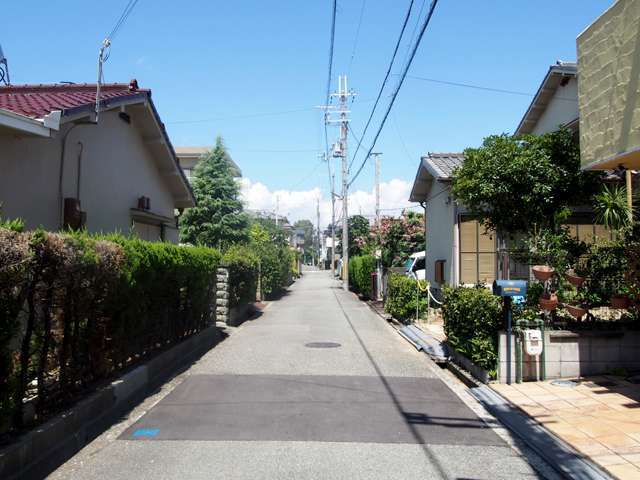 生垣のある家がやや多く、緑豊か。