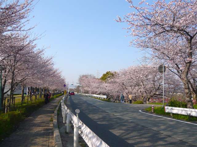 『武庫川』の河川敷は公園と球技場などに整備されており、緑もいっぱいです。