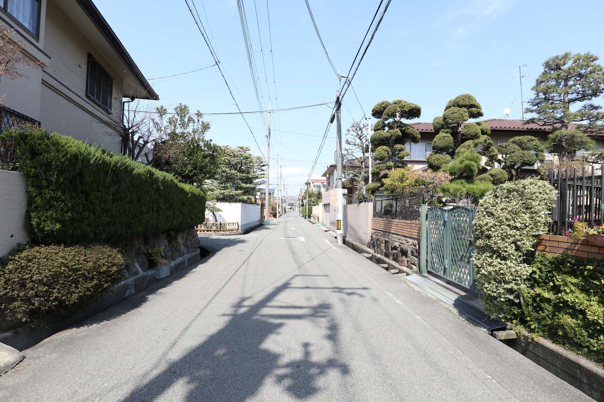 緑を身近に感じるのどかな住環境です。