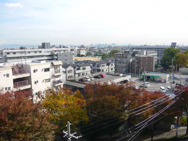 マンションと一戸建てが混在する住宅地で、『中園橋』の手前はきれいな並木道になっています。