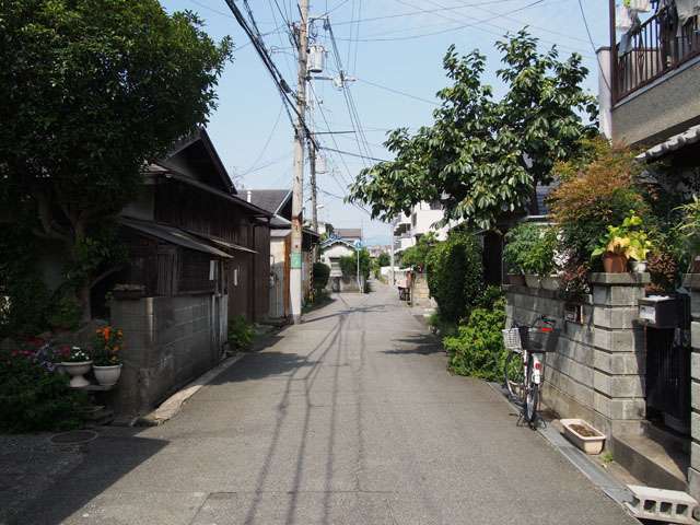 車の通りが少ない静かな住環境。