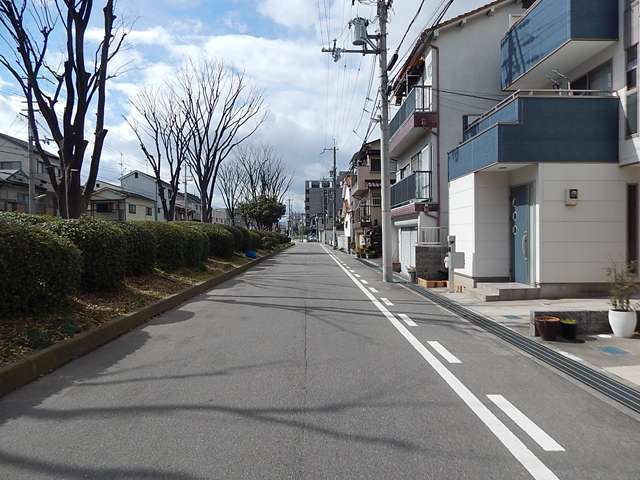 町中には街路樹が植えられ、身近で緑の潤いを感じられます。