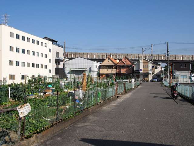 道幅はそれほど広くはありませんが、区画が整っているためすっきりとした印象。