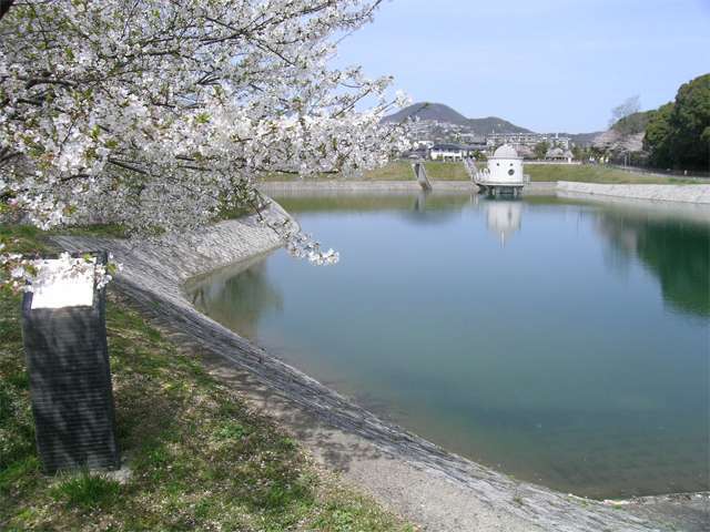 『ニテコ池』は、名次町や城山などの西宮市内でも指折りの高級住宅地の中にあるため池で、高畑勲監督の『火垂るの墓』の舞台としても有名。