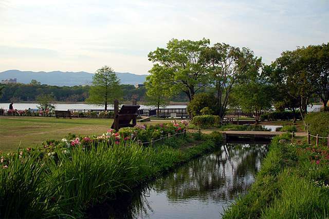 町から北東側に少し行ったところに、伊丹市を代表する公園、『昆陽池公園』があります。