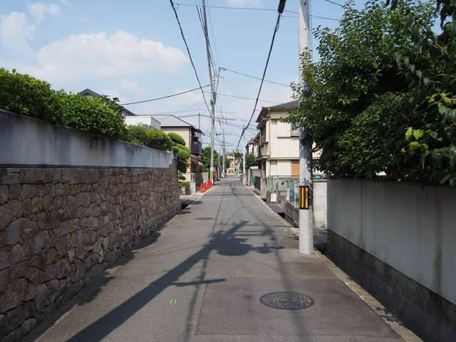 石積みの生垣が連続して、緑豊かな景観を形作っています。