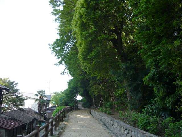 『伊丹緑地』は静かで空気の綺麗な緑地。近隣の方の散歩コースになっています。