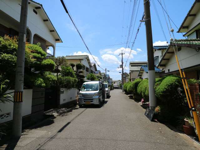 手入れの行き届いた生垣のある家が多いです。