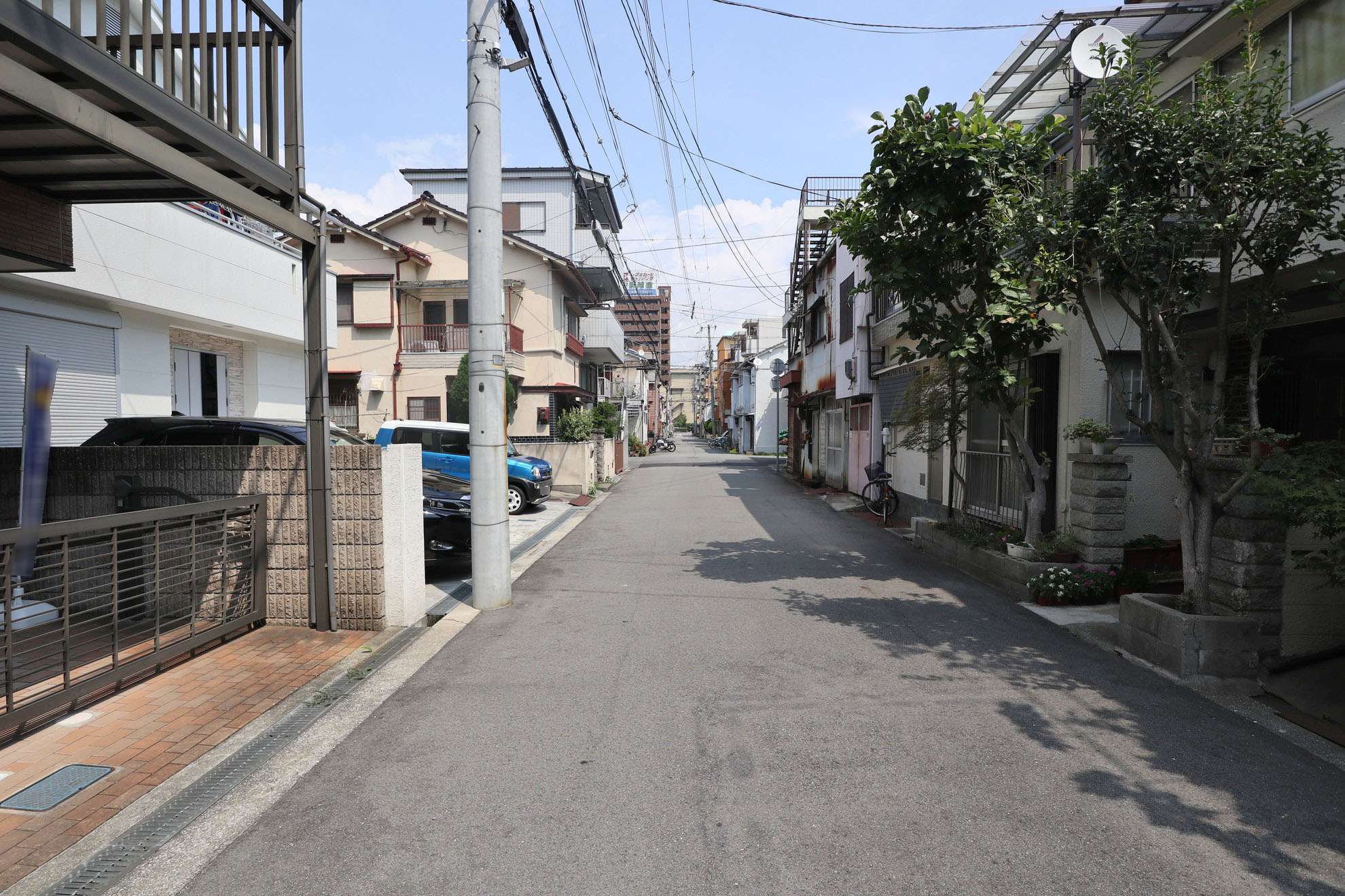 道幅は比較的広く、近隣に大きな公園が点在する緑豊かな街並み。