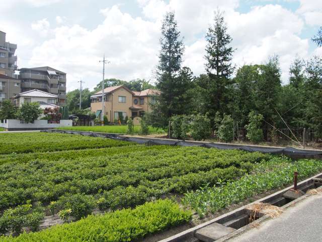 田畑や雑木林が街中に多く点在しており、たいへん緑豊かな環境です。