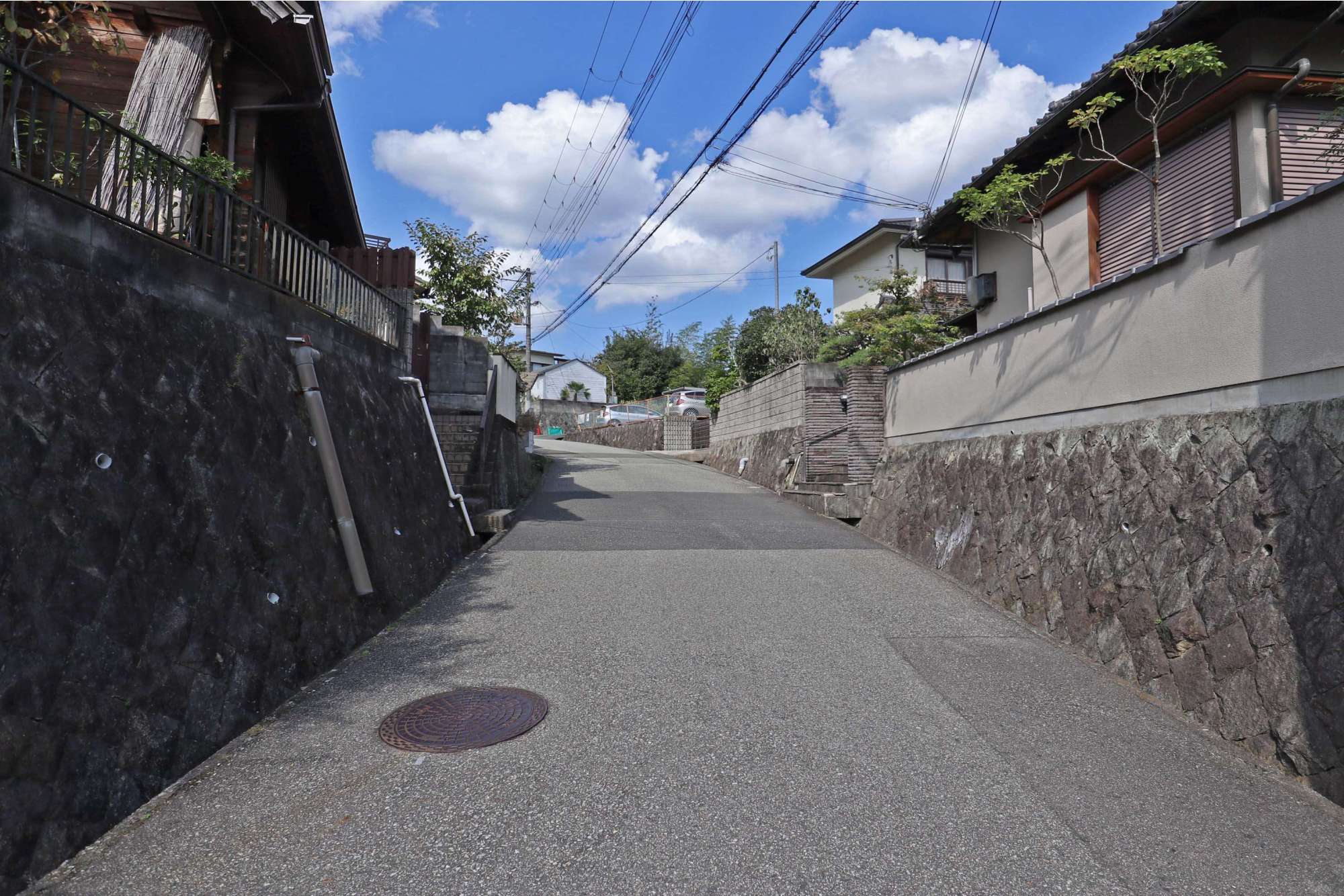 緑豊かな家屋が多いです。