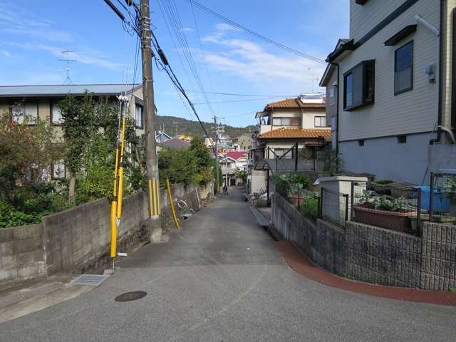 町の南部を南西方向から見た景色。緑豊かな街並みが広がっています。