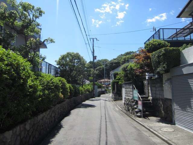 緑豊かな街並みが広がっています。