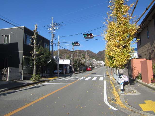 町の東端を走る主要道路。五月山の山林がよく見えます。