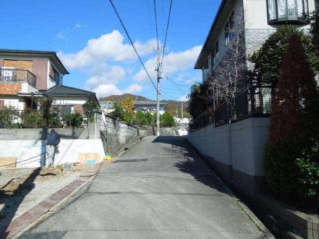 町の北側を南方向から景色。緑豊かな家屋が多く見られます。