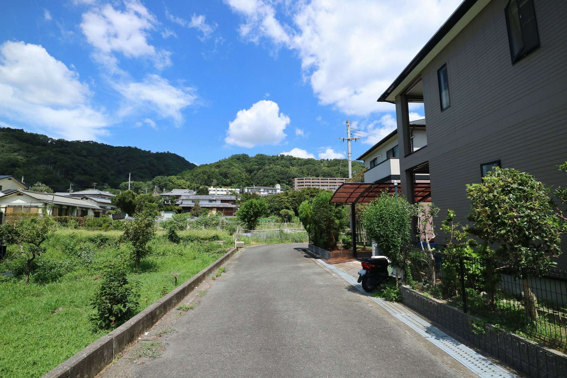 奥には五月山の山林が見えます。