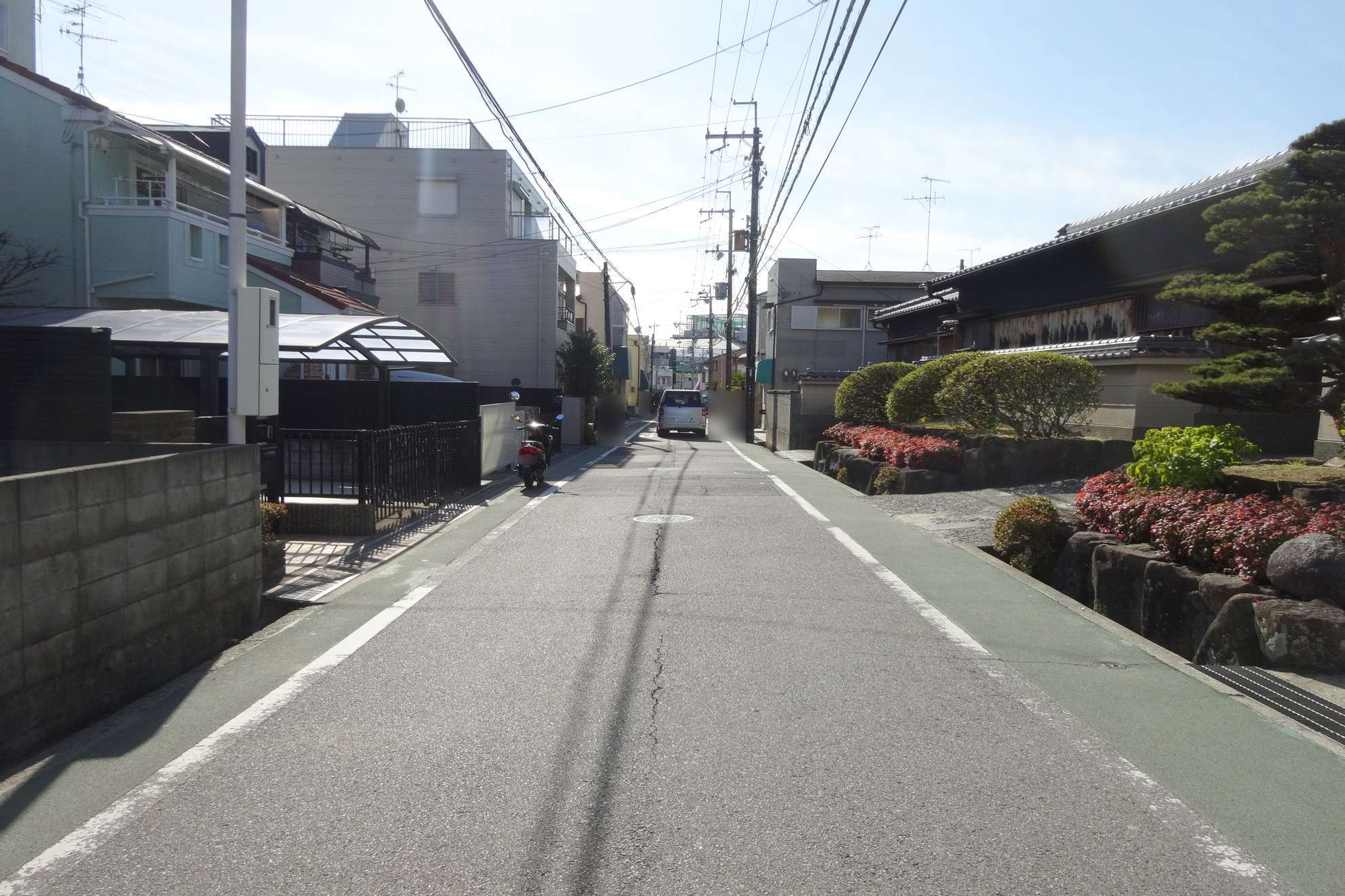 生垣や植栽のある一戸建てが多く、緑を身近に感じる住環境です。