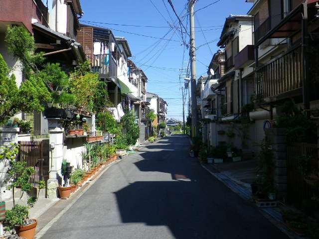 家屋は少し古いですが、左側の家々は緑豊かです。