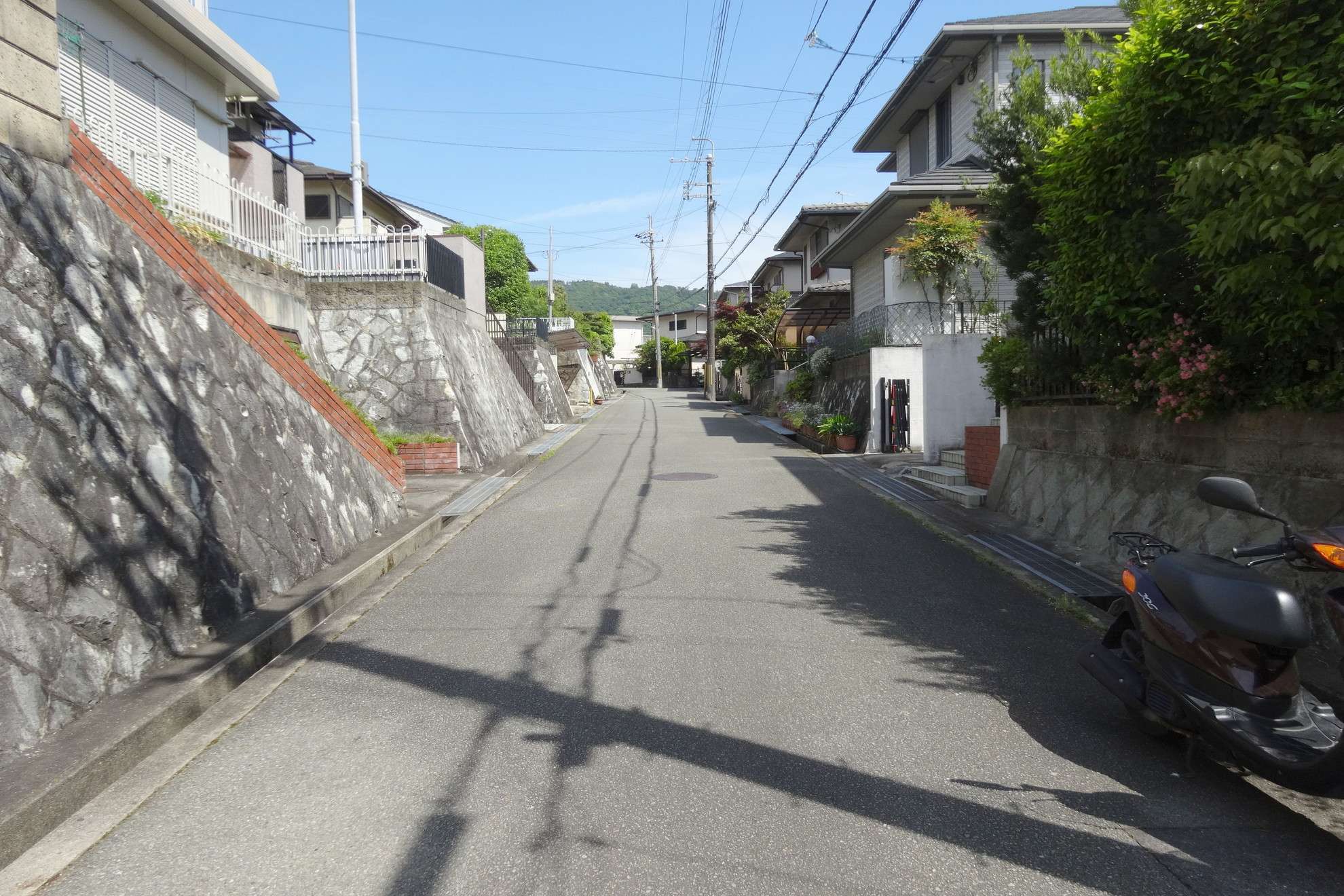 生垣や植栽のある家が多く見られます。