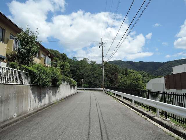 町の東部を西方向から見た景色。奥(東)には山林が広がっています。