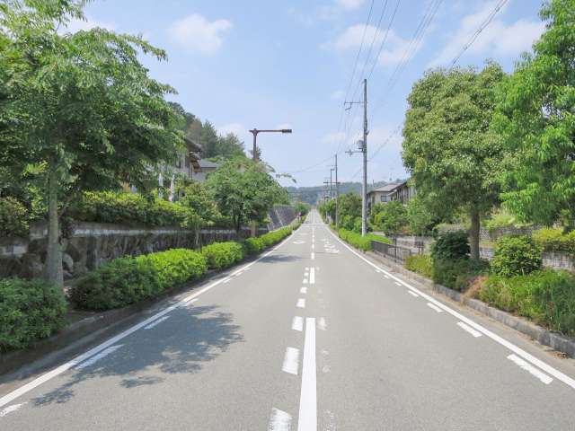 主要道路には両側に歩道や街路樹が整備されています。