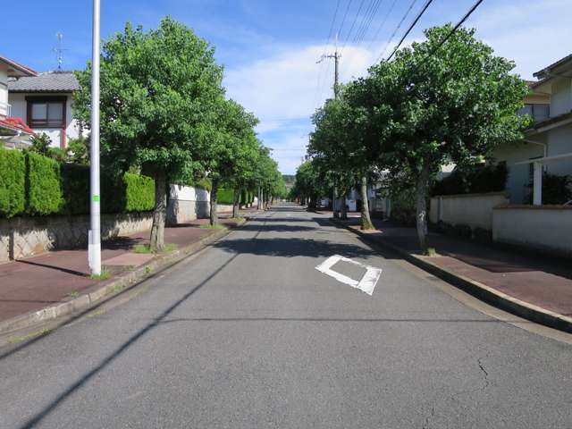 町中には街路樹が植えられており、緑豊かな印象の街並みを形成しています。