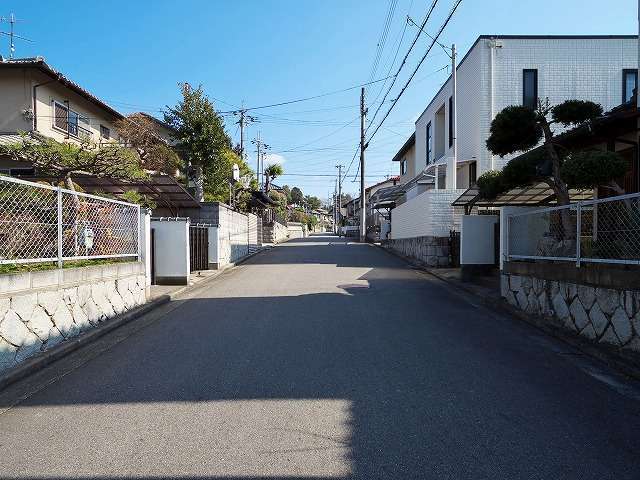 町の西部を北西方向から見た景色。道幅の広い街路沿いに一戸建てが並んでいます。