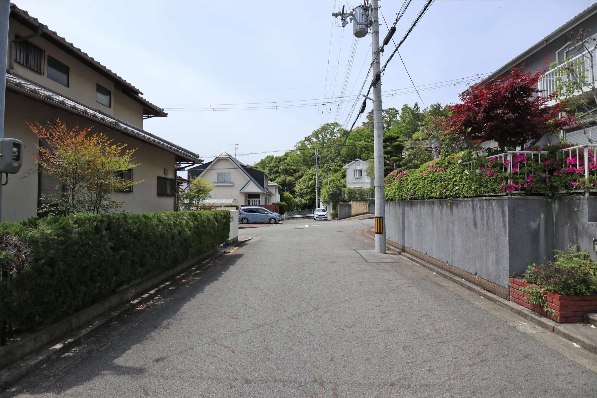 野鳥の姿もよく見られる、四季の移ろいを身近に感じられる立地です。