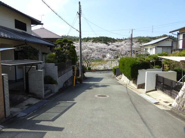 町の西部には猪名川が流れ、桜並木は春になるときれいな景色を見せてくれます。