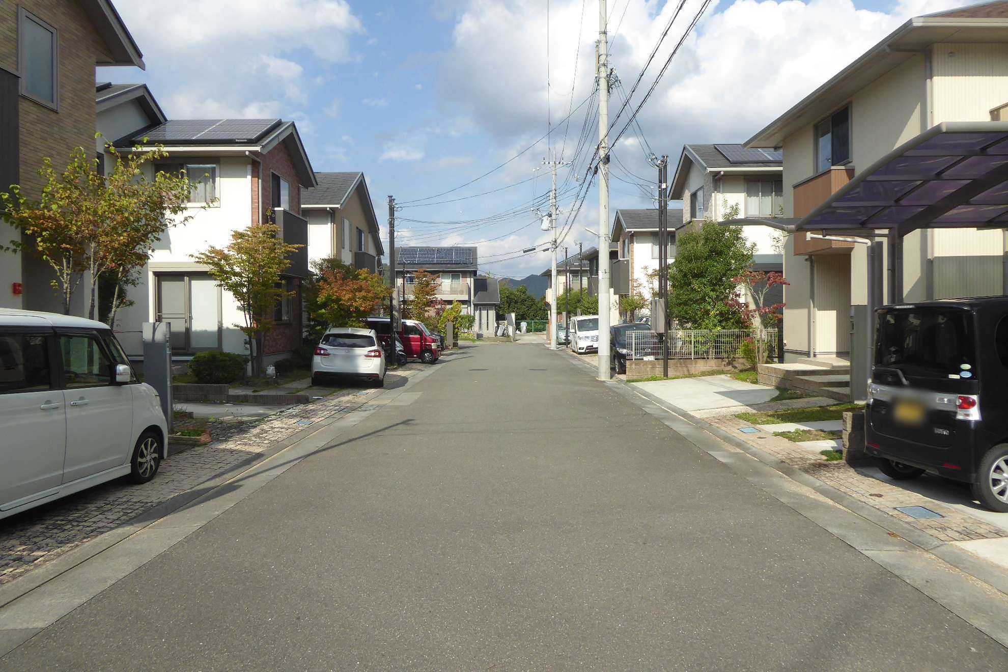 植栽を設けた住宅が多く、緑豊かな印象の街並みです。
