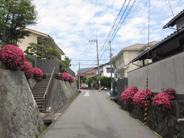 町の東部を西側から見た景色。植栽のある家が多いです。