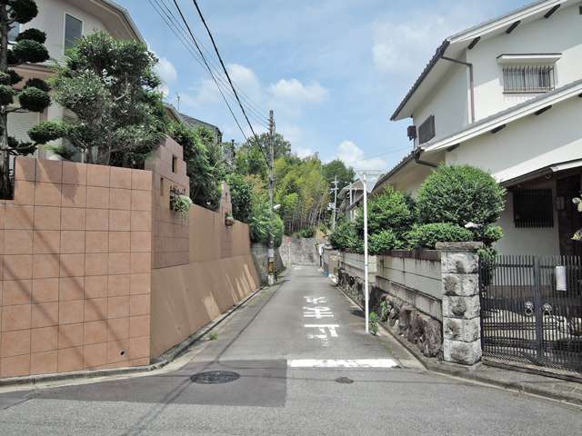 町の北東部を西方向から見た景色。奥(東側)には竹林が見えます。