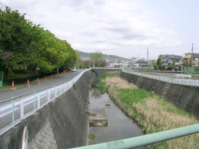 千里川。のどかな雰囲気で、野鳥の姿も見られます。