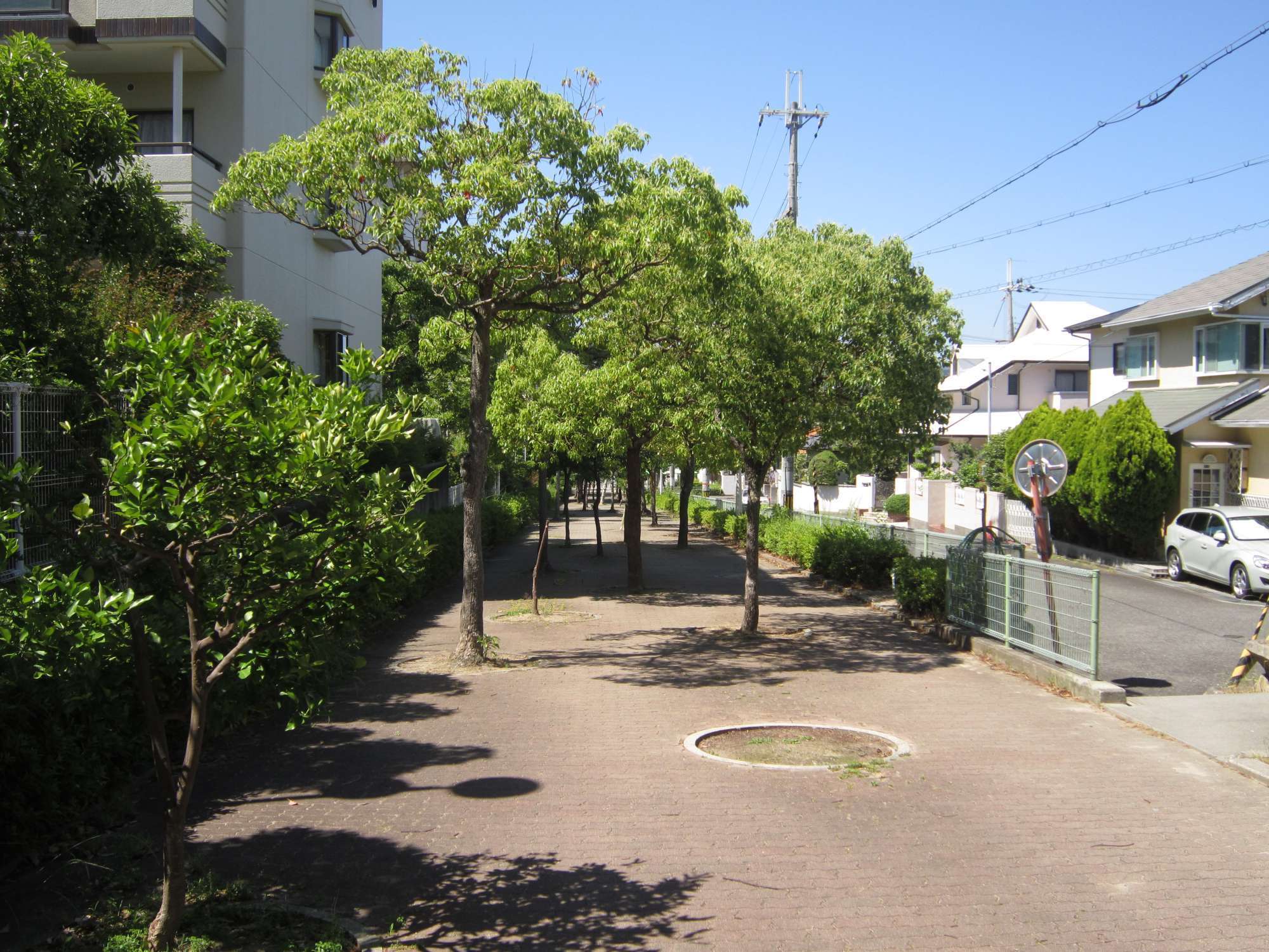 一戸建てやマンションが多く並んでいますが、緑豊かな小道が町の中央部を南北に縦断しています。