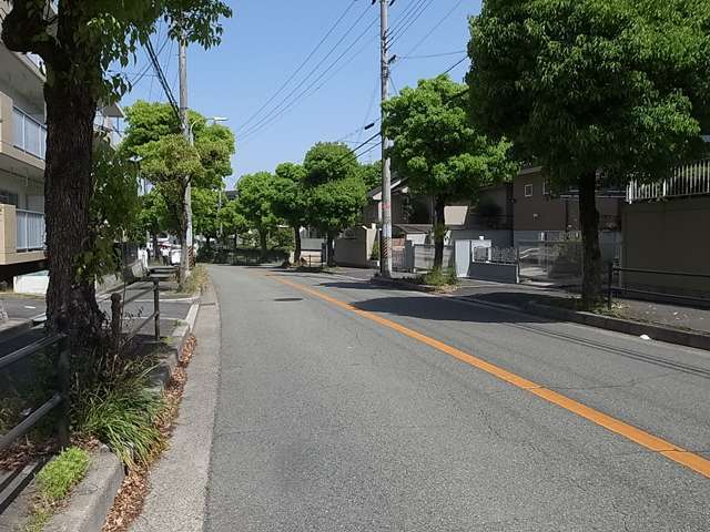 町内を横断する主要道路坂道になっていますが、両端に街路樹が整備されています。