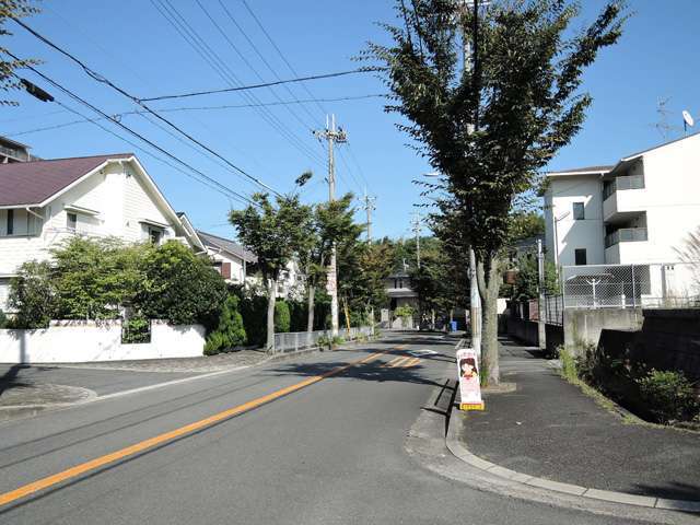 町の南部を走る主要道路を西方向から見た景色。街路樹が多く見られます。