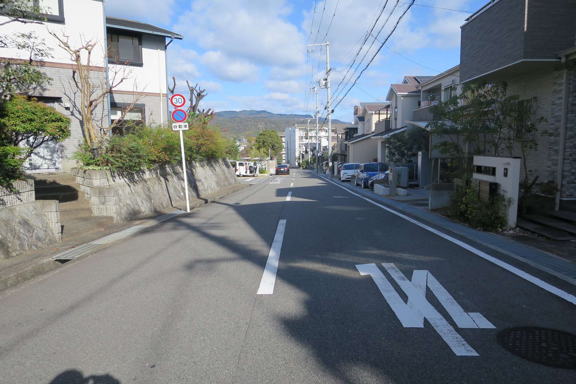 町の南東側に、一戸建てが立ち並ぶエリアがあります。