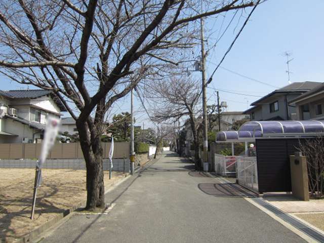 町の東部を西方向から見た景色。道幅は狭いですが、道路の両端には桜並木が続いています。