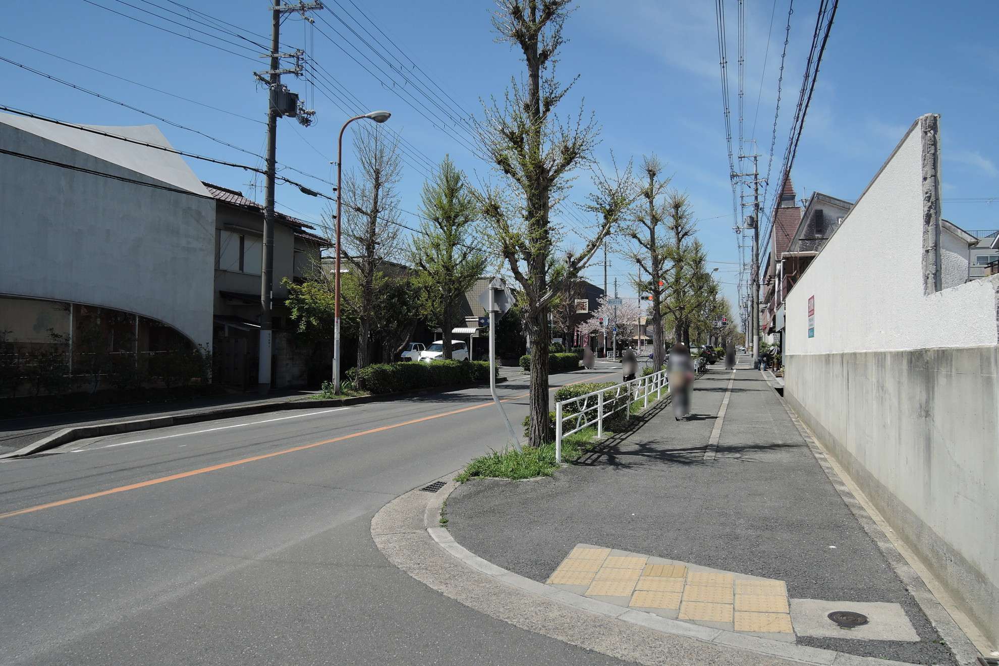 町の南端を通る主要道路には街路樹が植えられています。