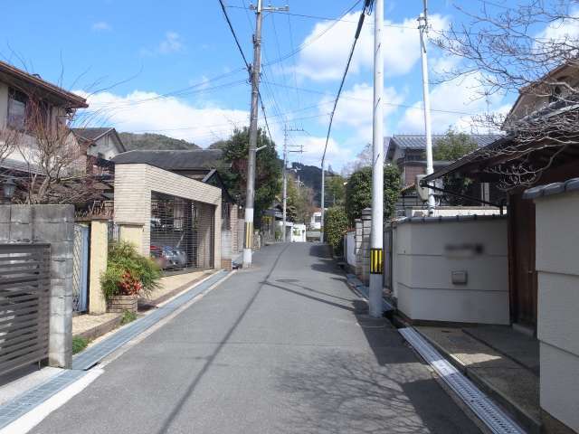 町の北東部を南方向から見た景色。敷地の広い一戸建てが整然と並んでいます。