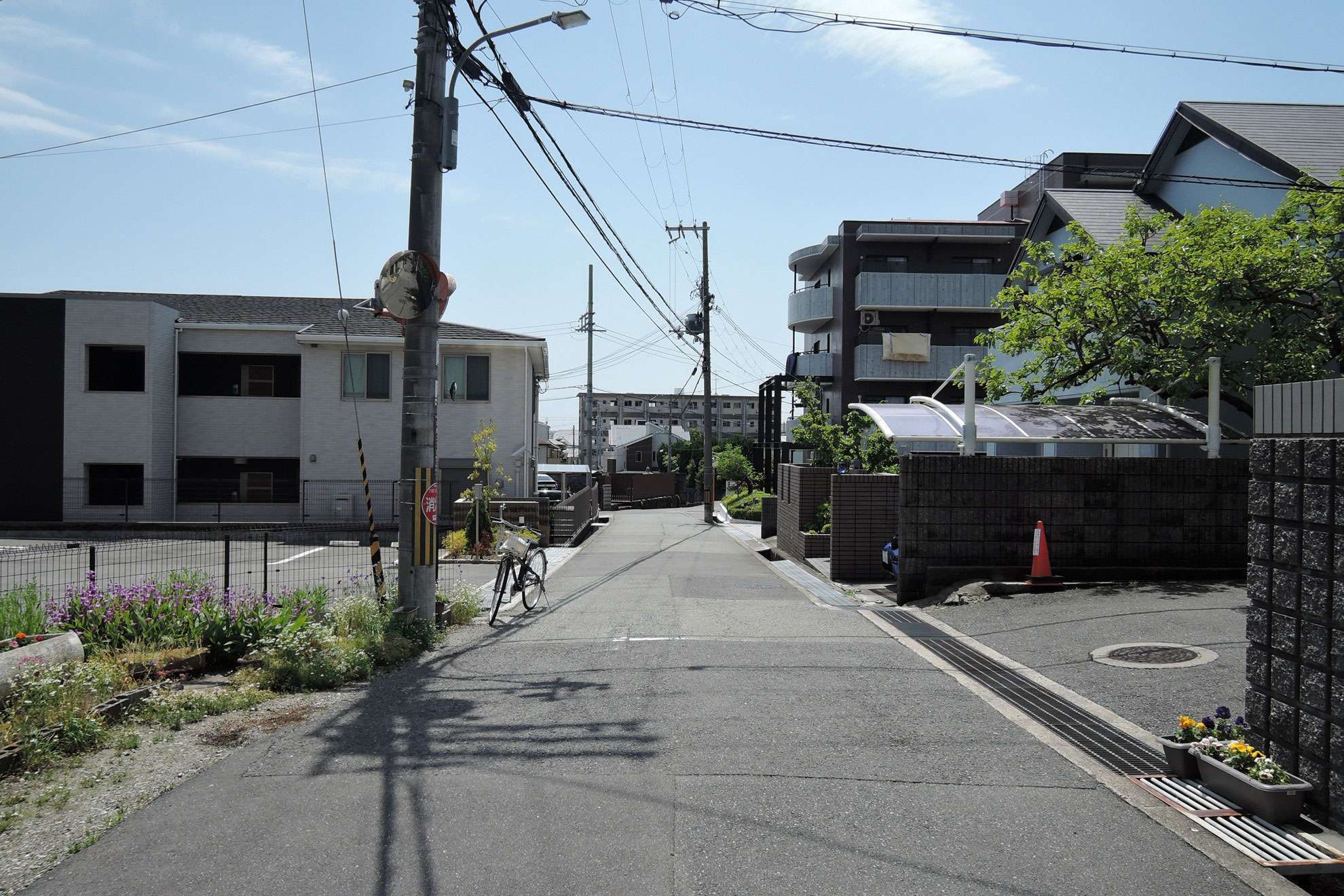 町中でも緑豊かです。