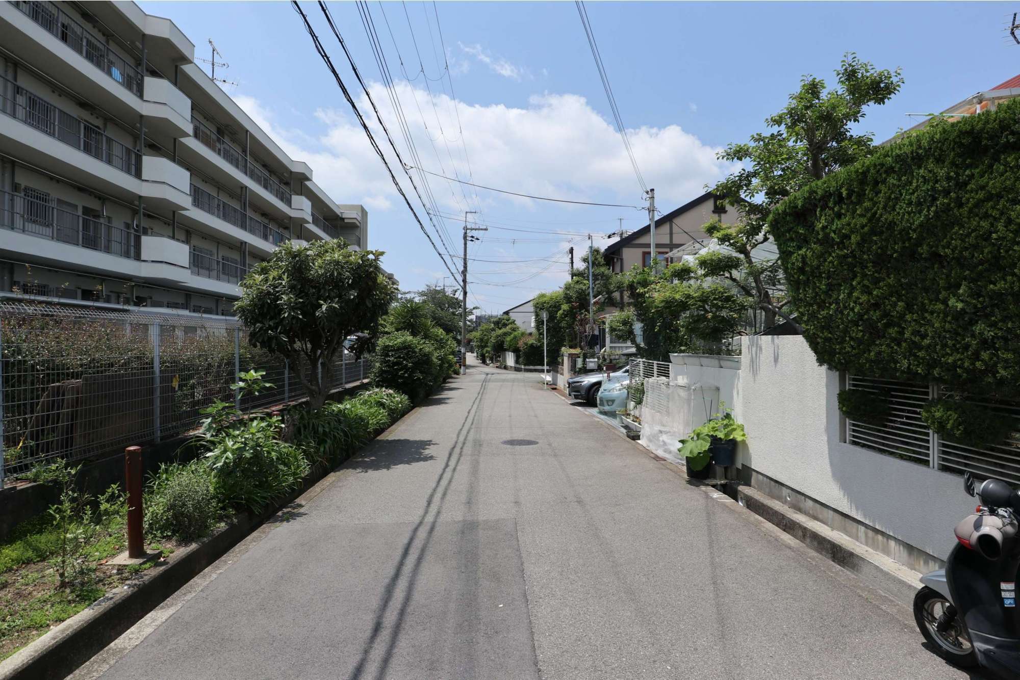 生け垣のある家が多く、緑豊かな街並みです。