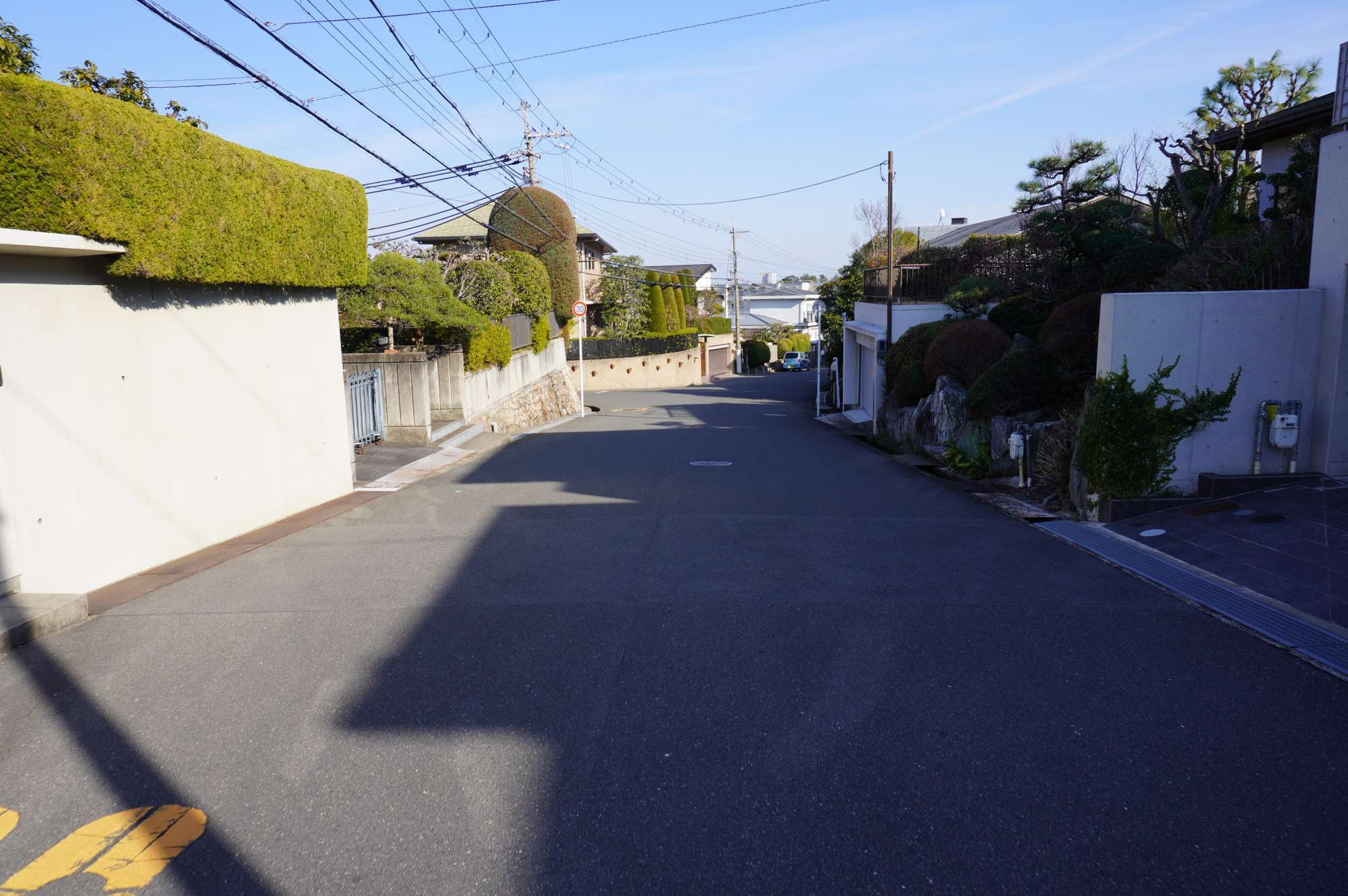 緑豊かな住宅地。