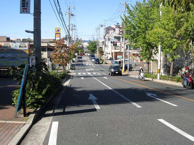 町を南北に通る主要道路。道路の両側に街路樹が並び緑豊かです。