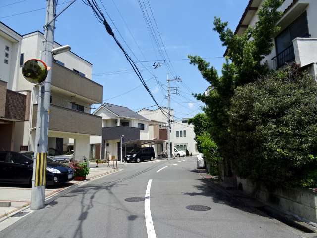 町の南東部を南方向から見た景色。カーブがやや急ですが、道幅は広いです。