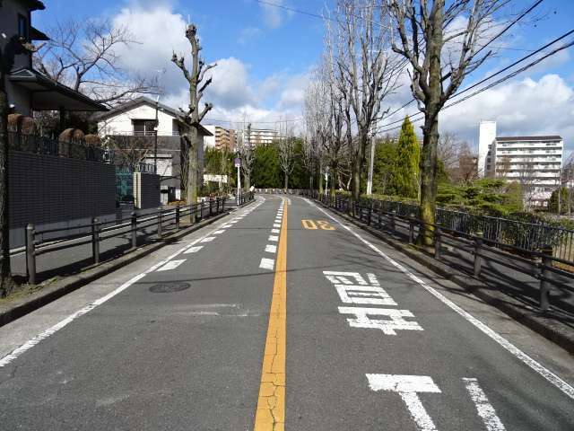 主要道路沿いには街路樹が並んでいます。