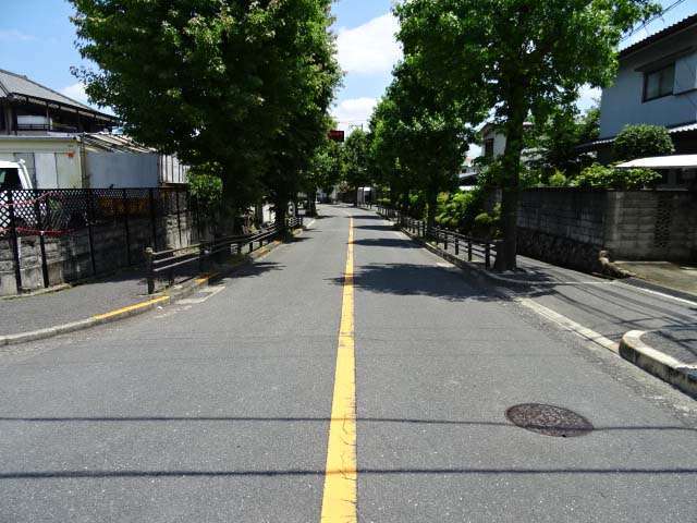町の中央部を東西に走る主要道路。道路の両側に街路樹が並んでいます。