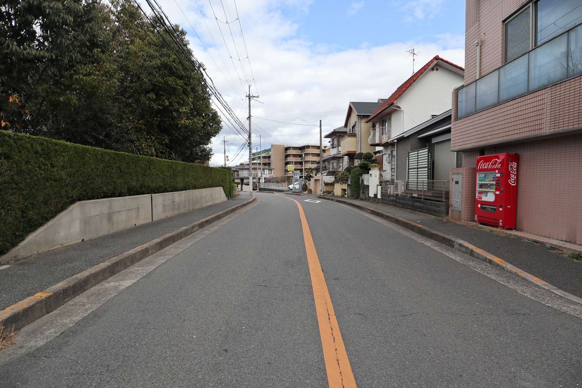 写真左手には大きな池が広がっています。