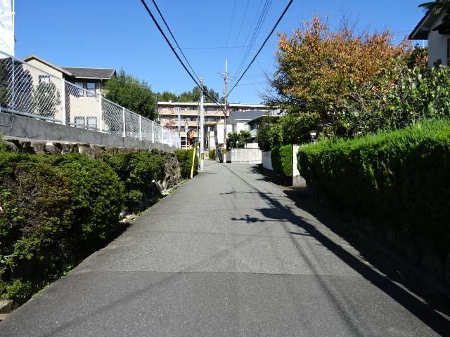 町の東部を南方向から見た景色。生垣や植栽のある家が多いです。